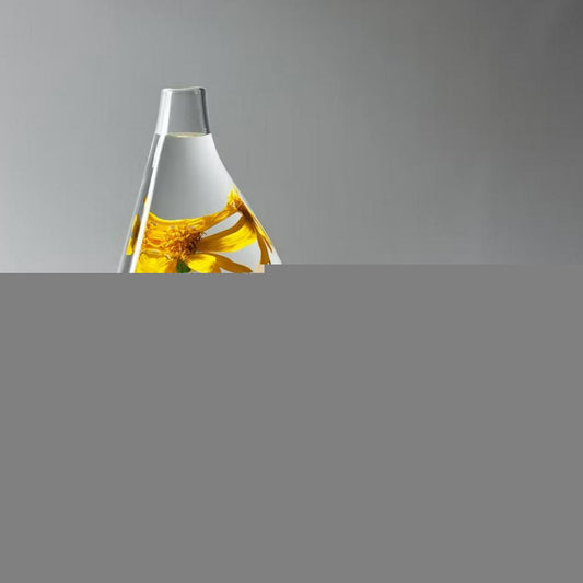 Haus Labs Bio Blurring Loose Setting Powder 7g | Talc-Free