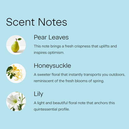 Skylar Honeysuckle Dream Eau de Parfum Rollerball 10ml