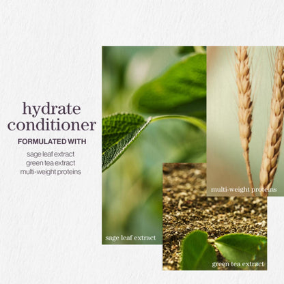 PUREOLOGY Dry Hair Bundle