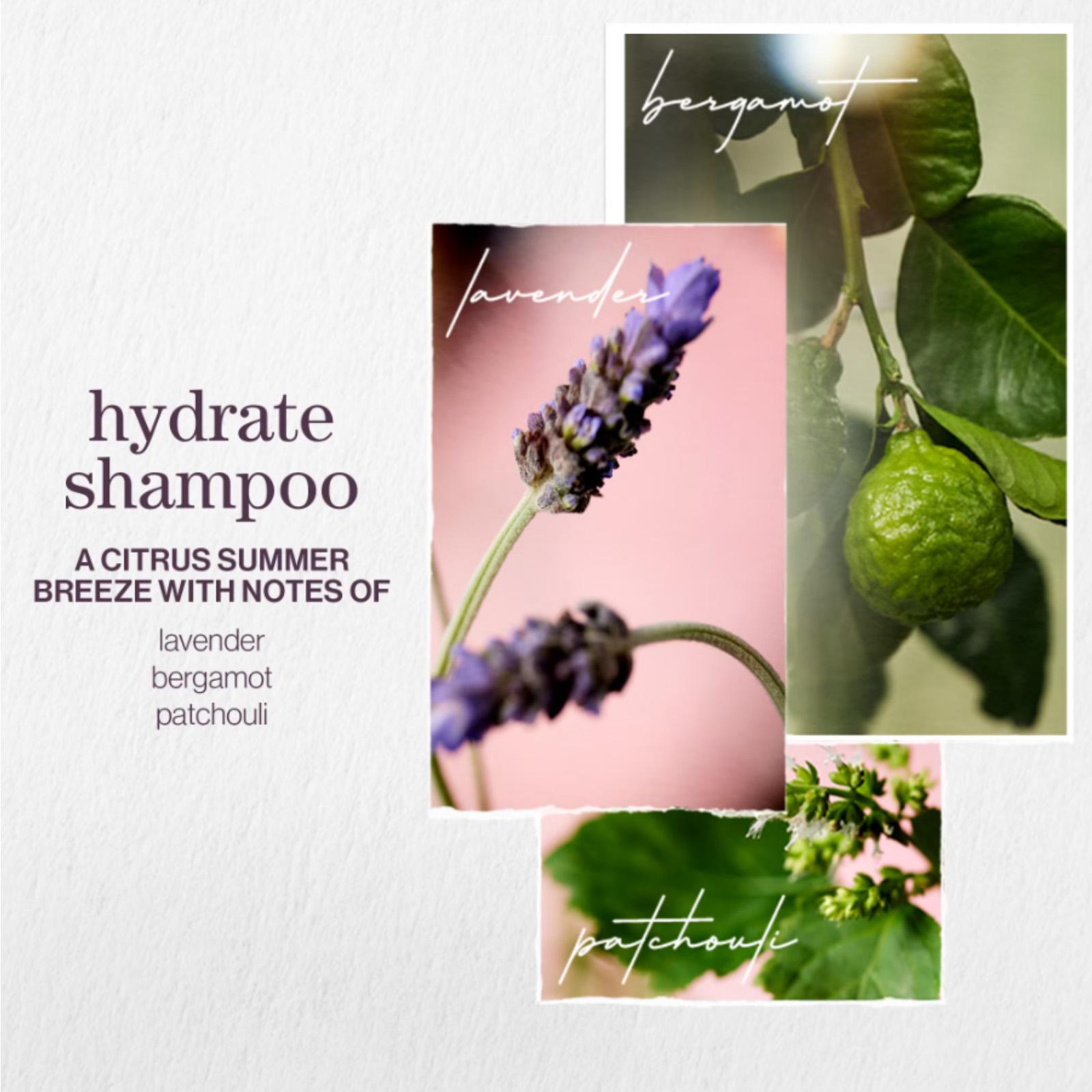 PUREOLOGY Dry Hair Bundle