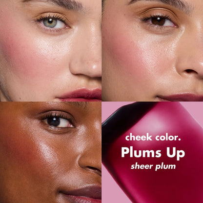 ELF Sheer For It Blush Tint 6.8ml PLUMS UP