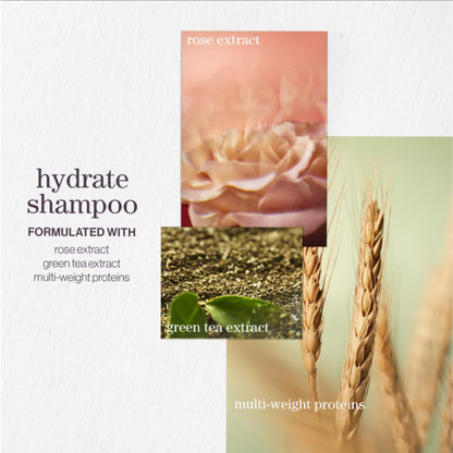 PUREOLOGY Dry Hair Bundle