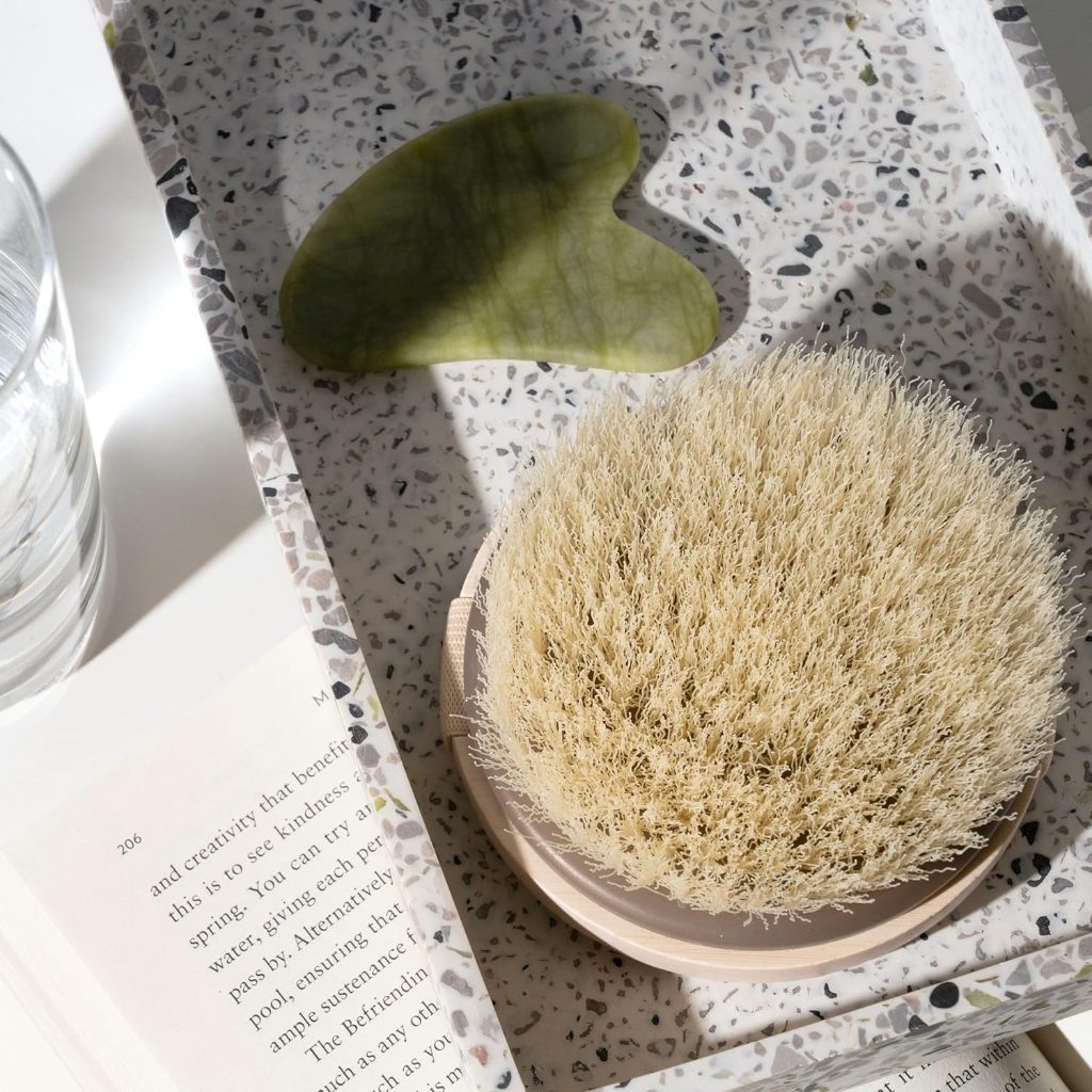 EcoTools Dry Body Brush