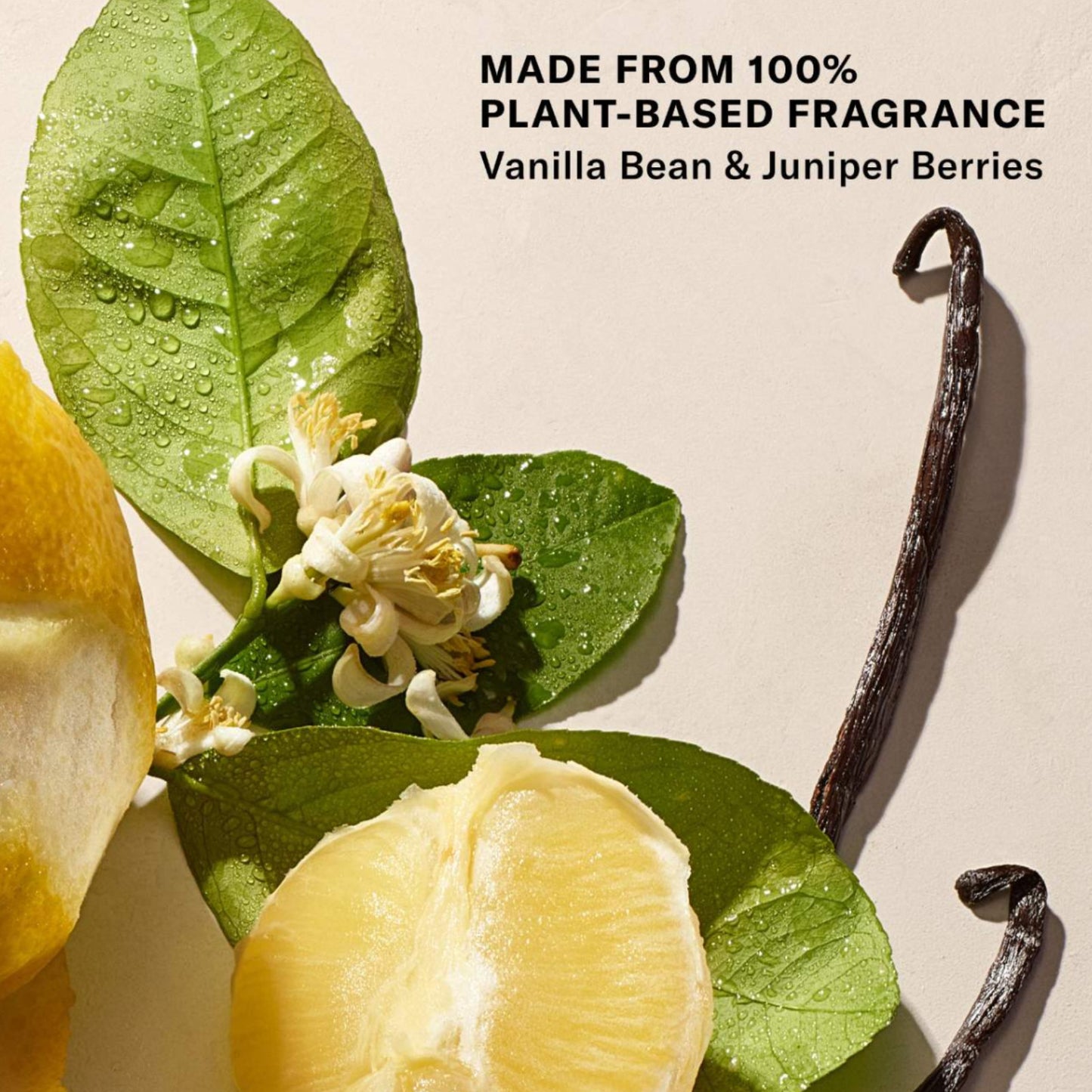 Josie Maran Body Butter 60ml REFILL VANILLA VIBEZZZ
