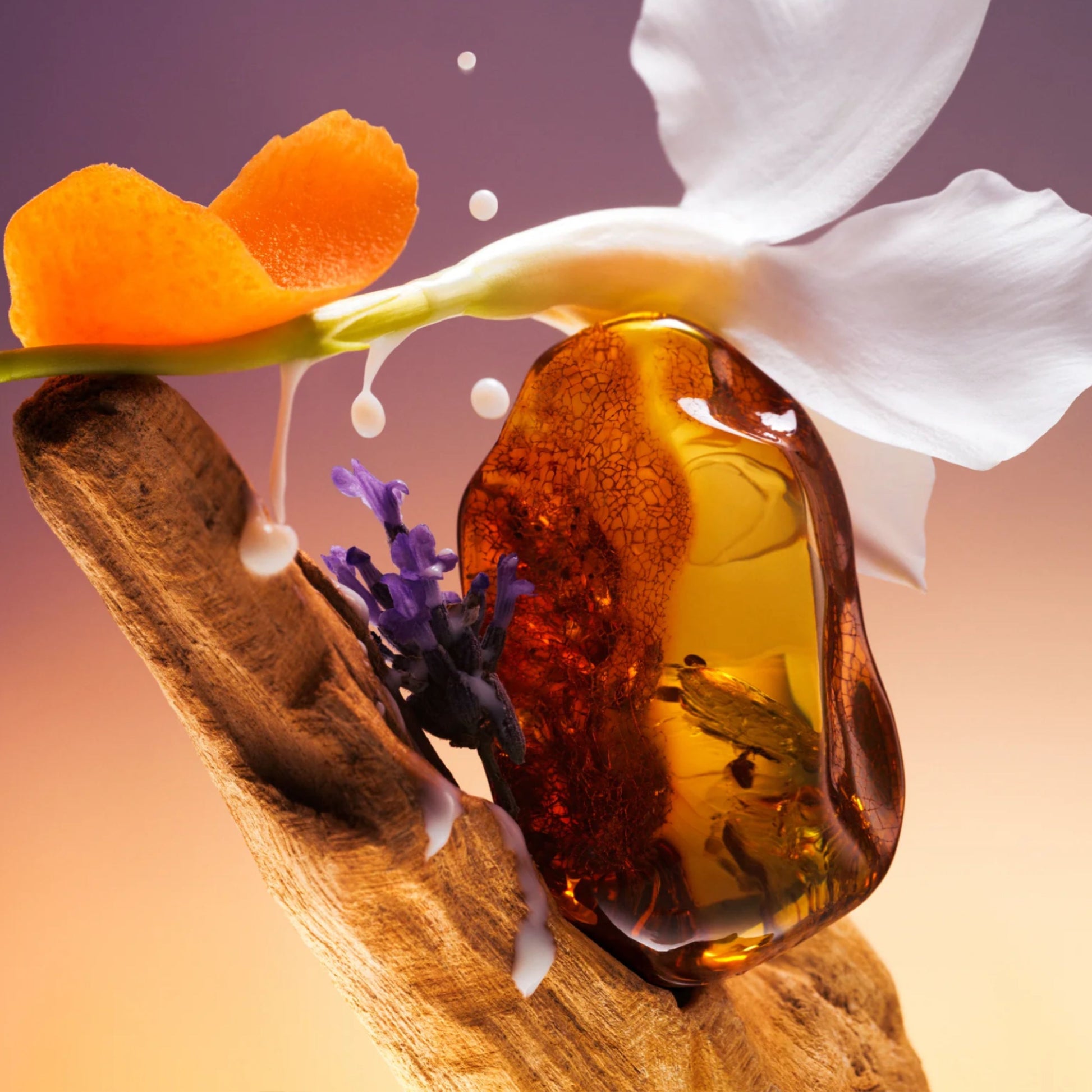 Phlur Eau de Parfum Afterglow
