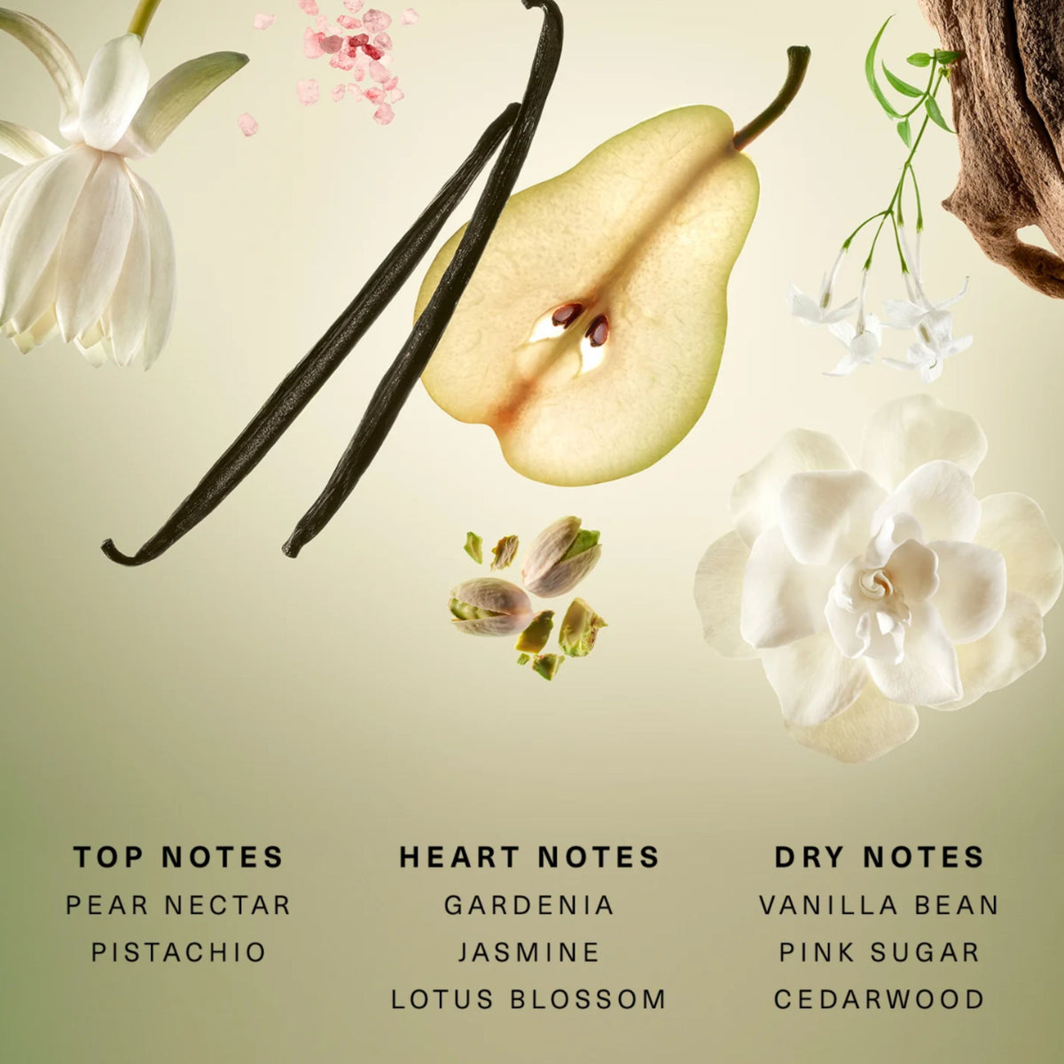 Rare Beauty Eau de Parfum Mini Set | Mini Parfum Set