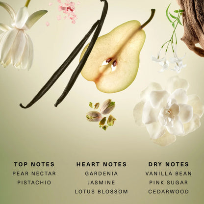 Rare Beauty Eau de Parfum Mini Set | Mini Parfum Set